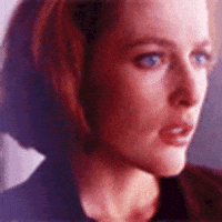 loor gillian anderson GIF