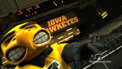 Volleyball Vb GIF by University of Iowa Hawkeyes Athletics - Find & Share on GIPHY