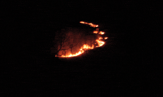 kevinbeaty fire cinemagraph colorado denver GIF