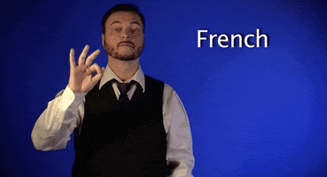 french asl GIF by Sign with Robert