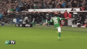 malte werder GIF