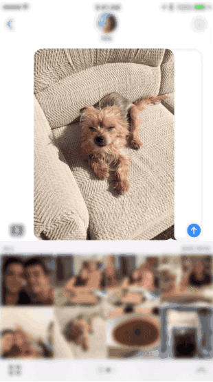 momento for imessage GIF by Product Hunt