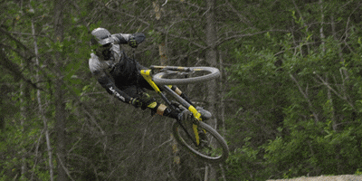 rockymountain  GIF