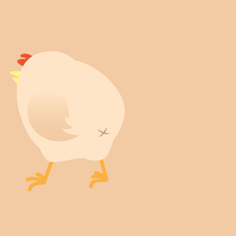 kweeston what weird chicken why GIF
