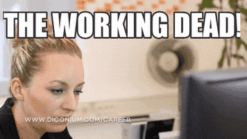 diconium fun digital germany office GIF