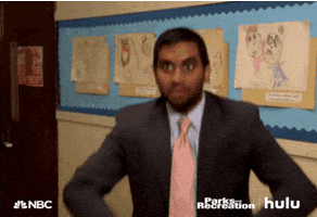 Parks And Recreation Nbc GIF by HULU