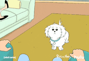 rick and morty snuffles GIF by HULU