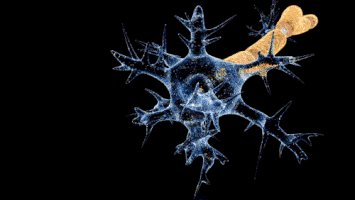 tekcrispy sÃ­ndrome GIF