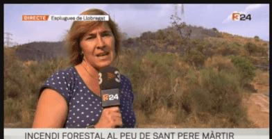 mariacarbo  GIF