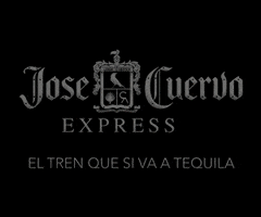 virynaye27 travel mexico tequila traveling GIF