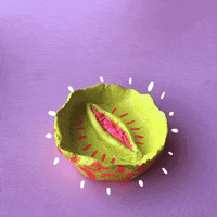 Stop Motion Acid GIF by whateverbeclever