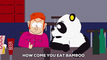 panda drinking GIF by South Park 