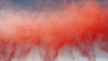 mayasugarman mayasugarman GIF