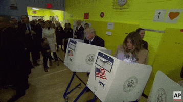 voting donald trump GIF by Election 2016