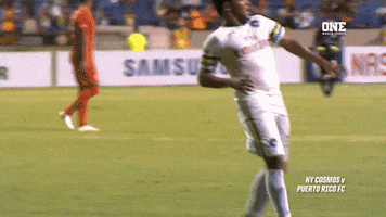 andres flores soccer GIF by New York Cosmos