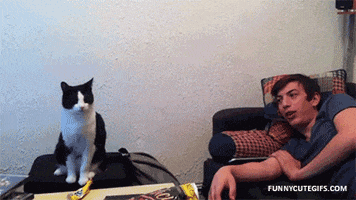 louis lowfive GIF