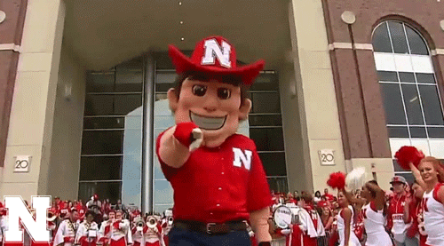 Image result for huskers gif