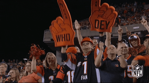 cincinnati bengals GIF by NFL