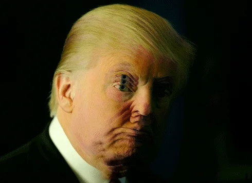Donald Trump GIF