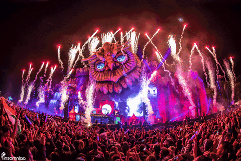 Insomniac Events edc insomniac edcorlando kineticfield GIF