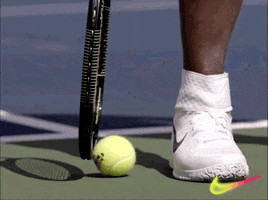 Serena Williams Tennis GIF by Nike