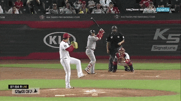 cmvky2fyzdi0qg1hyy5jb20  GIF