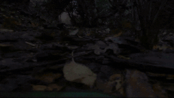 phoenixuk moat hollow remote drones. GIF