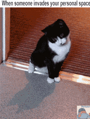 mrperkele #personalspace #finland #perkele GIF