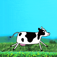 200.gif?cid=fc005b08afee4a569a841c1e42fa04b36214076008289077&rid=200.gif&ct=g