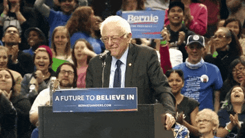 bernie sanders bird GIF