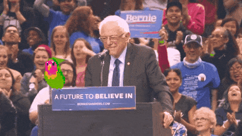 bernie