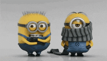 Cartoon gif. Two minions wearing thick gray scarves. One of them spins into the other as they both become entangled in the same scarf, looking around like they don't know what to do next. 