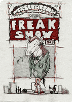 valentine's day horse GIF by Studio 360