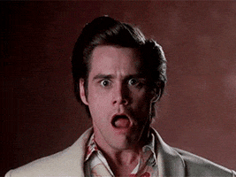 Movie gif. Freaking out, Jim Carrey as Ace Ventura screams wildly as his eyebrows dance around.