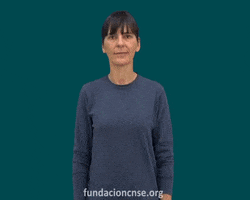 Fundación CNSE GIF