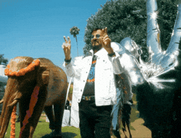 Beverly Hills Birthday GIF by Ringo Peace and Love