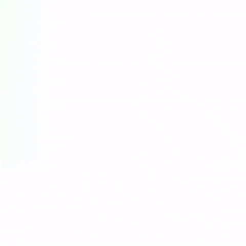 GIESSWEIN GIF