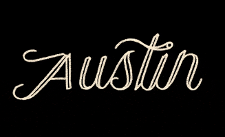 Texas GIF