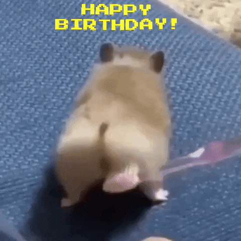 Happy-birthday-cute GIFs - Get the best GIF on GIPHY