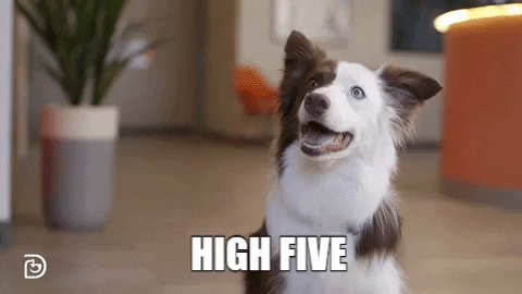 High Five Great Job GIF by Dogtopia - Find & Share on GIPHY