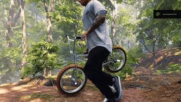 Skate Forest GIF by Longway Sports