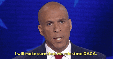 Cory Booker Immigration GIF