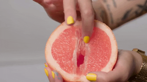 bjorn vagina hump day grapefruit suggestive GIF