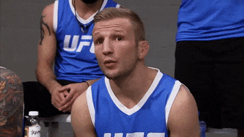 the ultimate fighter ok GIF