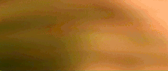 flopaflopas amelie train station GIF