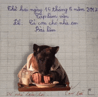 kakaphong hocsinh vietnam GIF