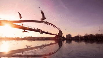 alalinares movimiento fotos GIF