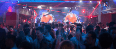 clubmidi clubmidi GIF