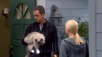 season 1 cotton candy and blended fish GIF by mom