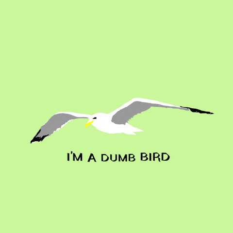 Digital art gif. A seagull flaps its wings on a green background. Text, “I'm a dumb bird.”
